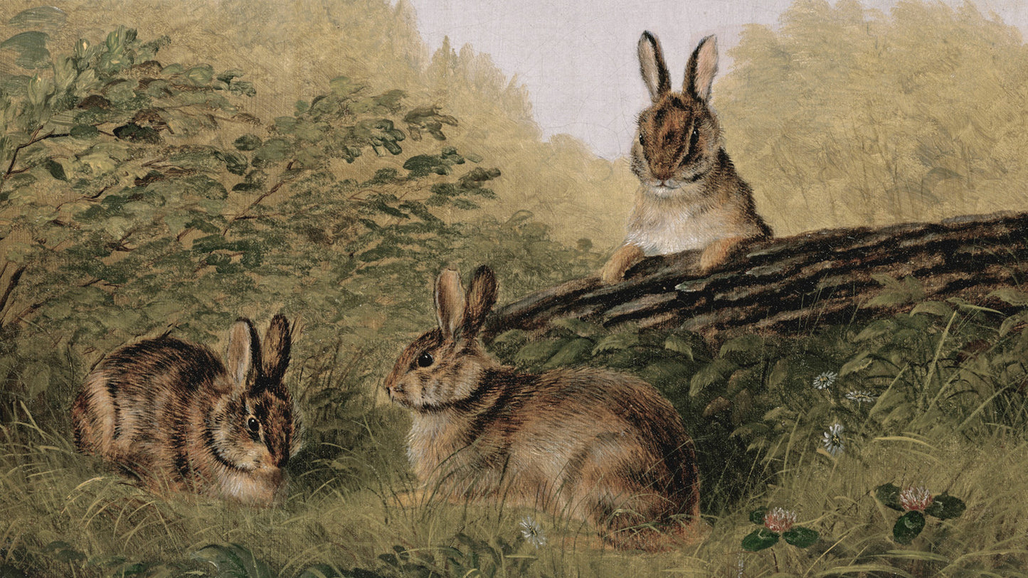 Easter Bunnies FRAME TV